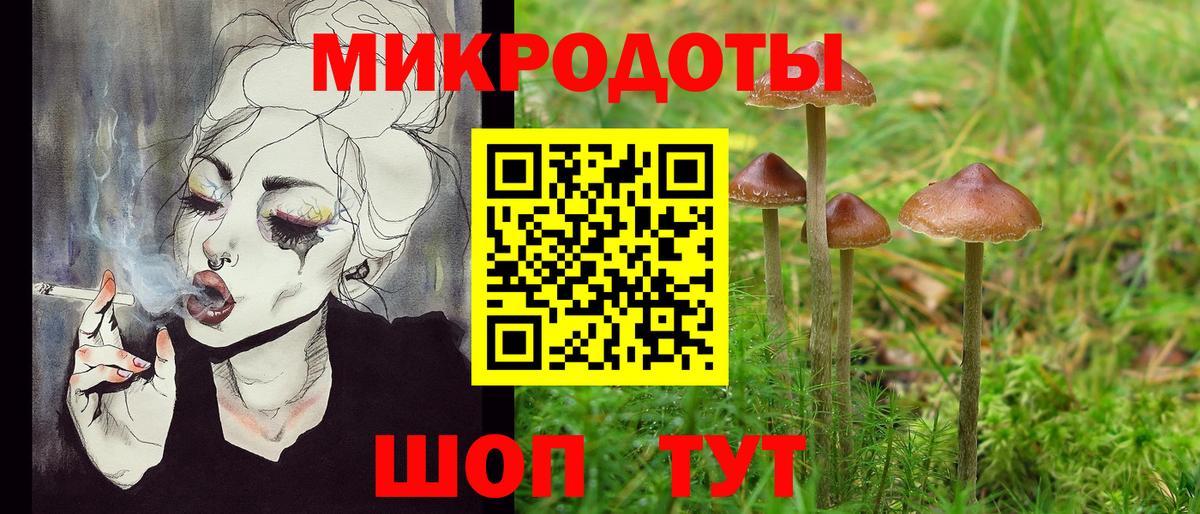 Псилоцибиновые грибы Psilocybine cubensis Кудрово