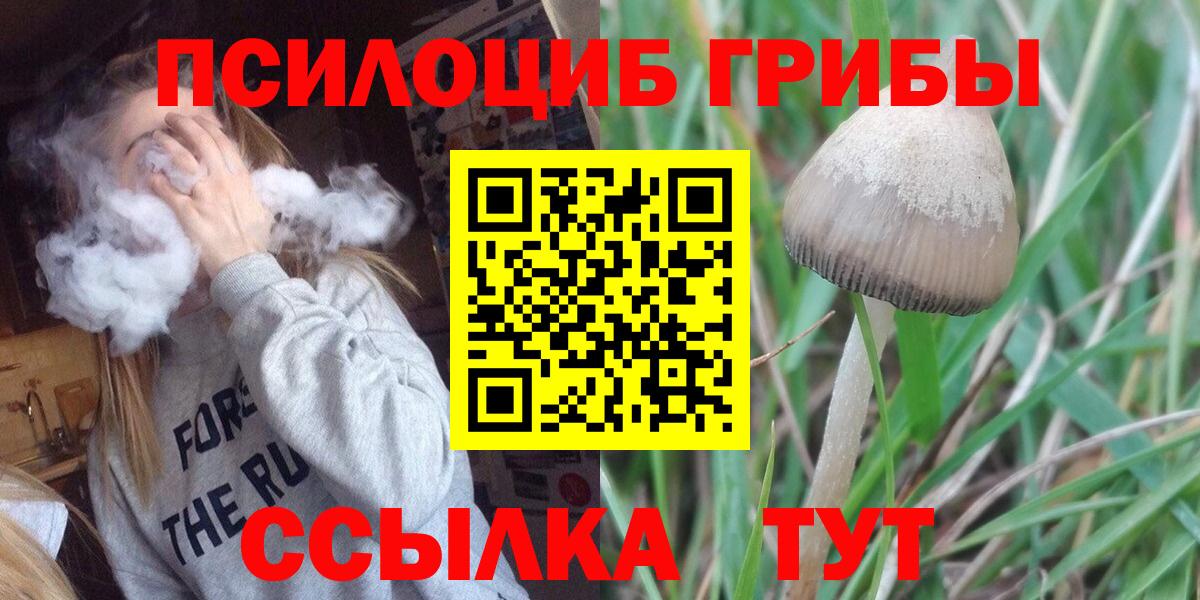 Галлюциногенные грибы ЛСД  Вход с VPN  Кудрово 